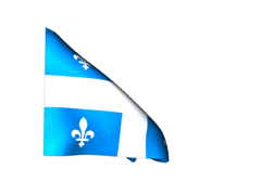 Yes, we now support Québec Wills!