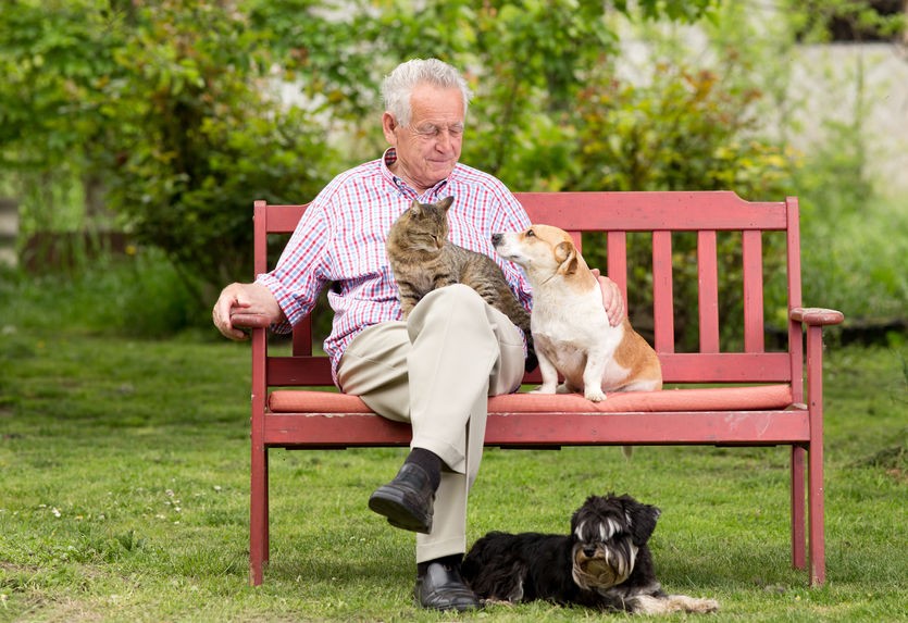 Setting up a Pet Trust: who cares for your pet after you are gone?