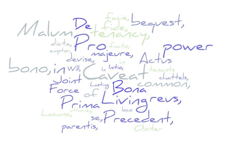 Understanding the words used in your Will